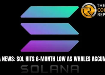 Solana News: SOL Slips to 6-Month Support While Whales Accumulate 2 Solana News