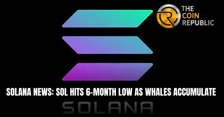 Solana News: SOL Slips to 6-Month Support While Whales Accumulate 1 Solana News